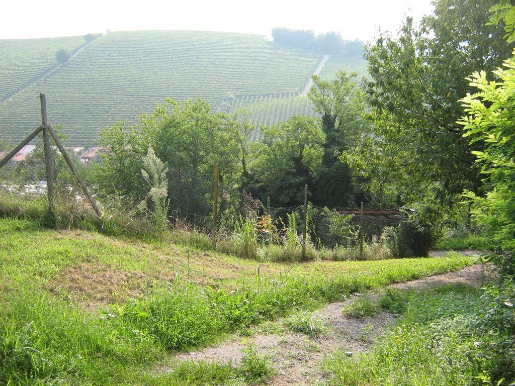 Il Borgo B&B Castellinaldo Kültér fotó